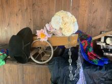 Viola Marie Karlsen og prosjektet «Violas verden av blomster» får tilskudd over den kollektive oppreisningen for romanifolket/taterne i år. Foto: Privat
