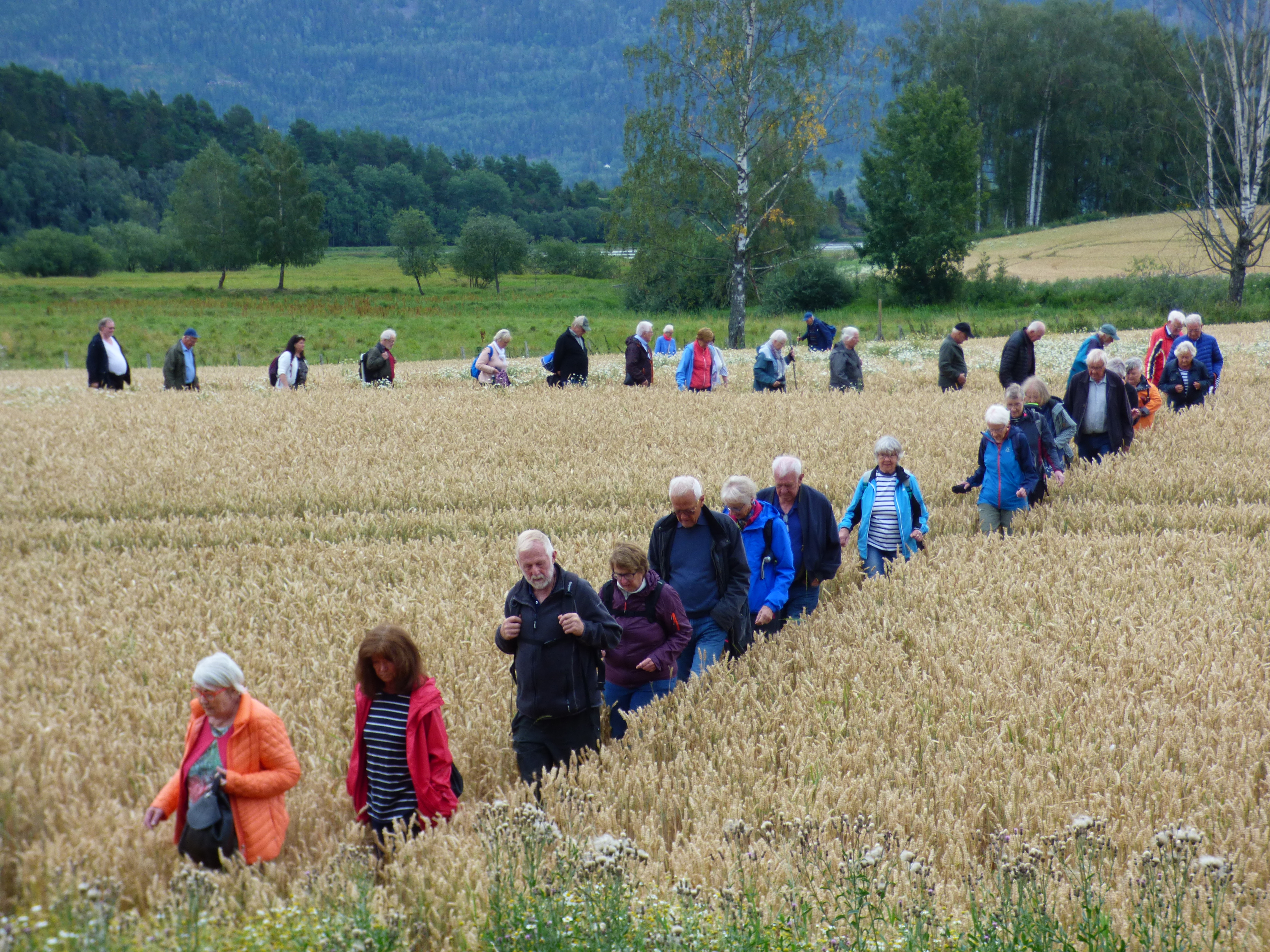 Jevnaker historielag på vandring. Foto: Rune Skaane